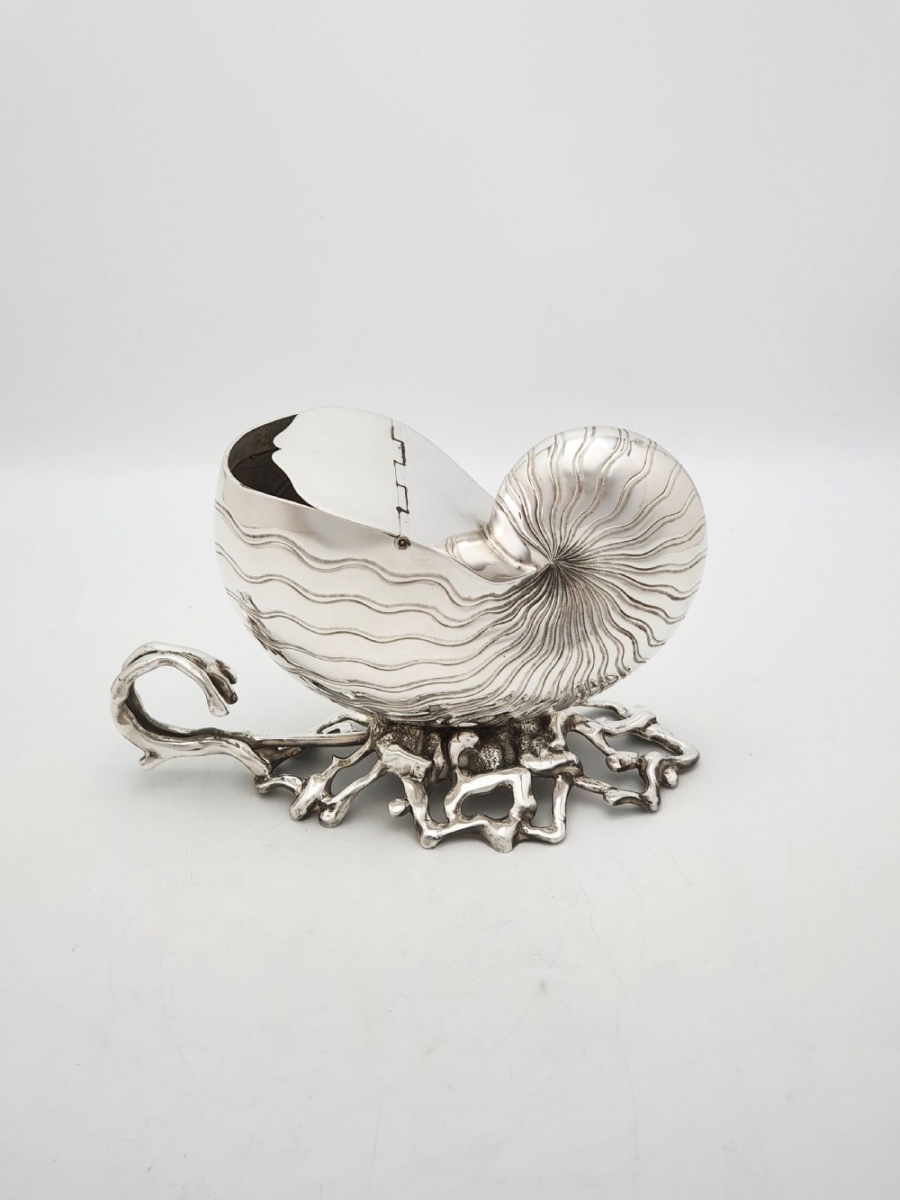Gorgeous Antique Silver Plated Nautilus Shell Spoon Warmer – circa 1860 View III