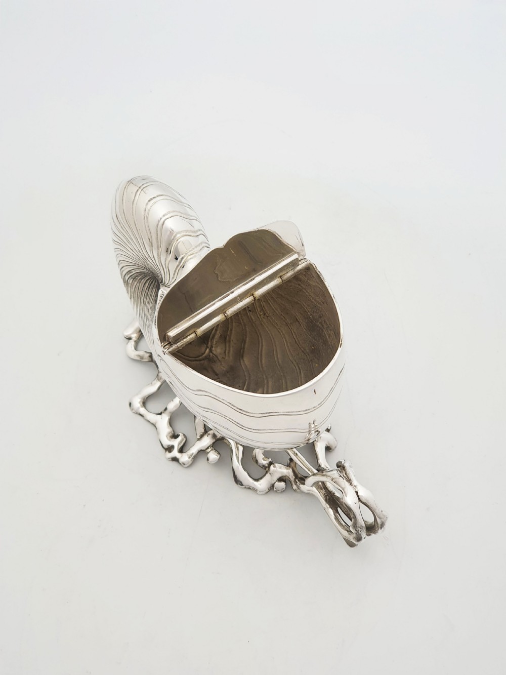 Gorgeous Antique Silver Plated Nautilus Shell Spoon Warmer – circa 1860 View V