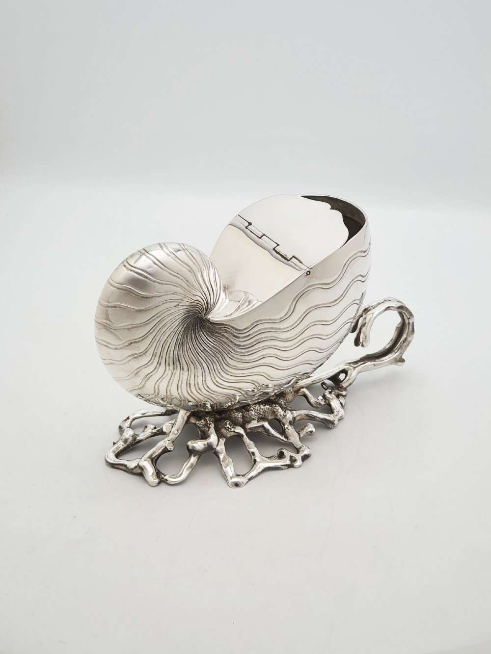 Gorgeous Antique Silver Plated Nautilus Shell Spoon Warmer – circa 1860 View VI