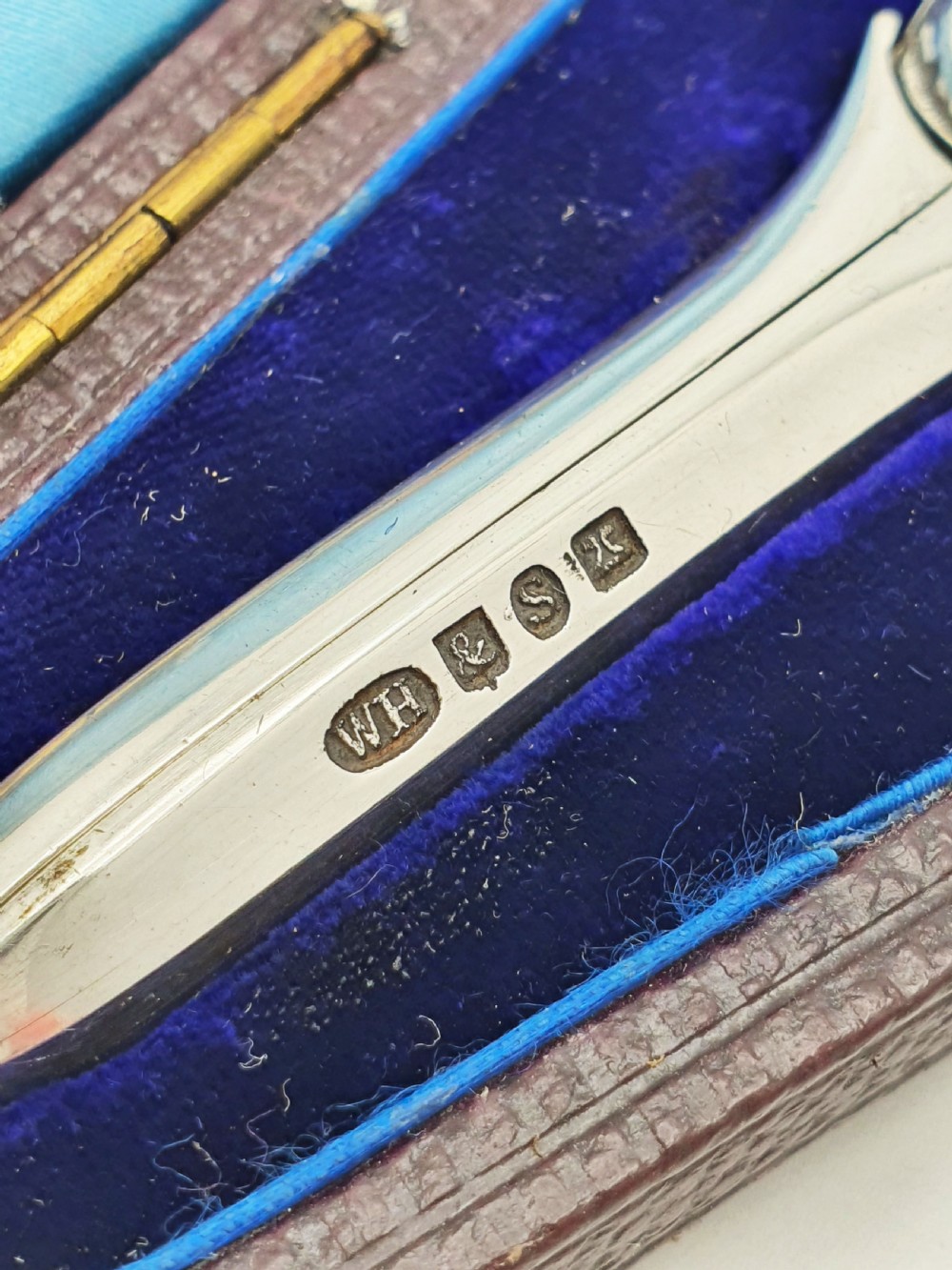 A pair of Victorian silver grape scissors with serpent-shaped handles, presented inside an open velvet-lined protective case. View V