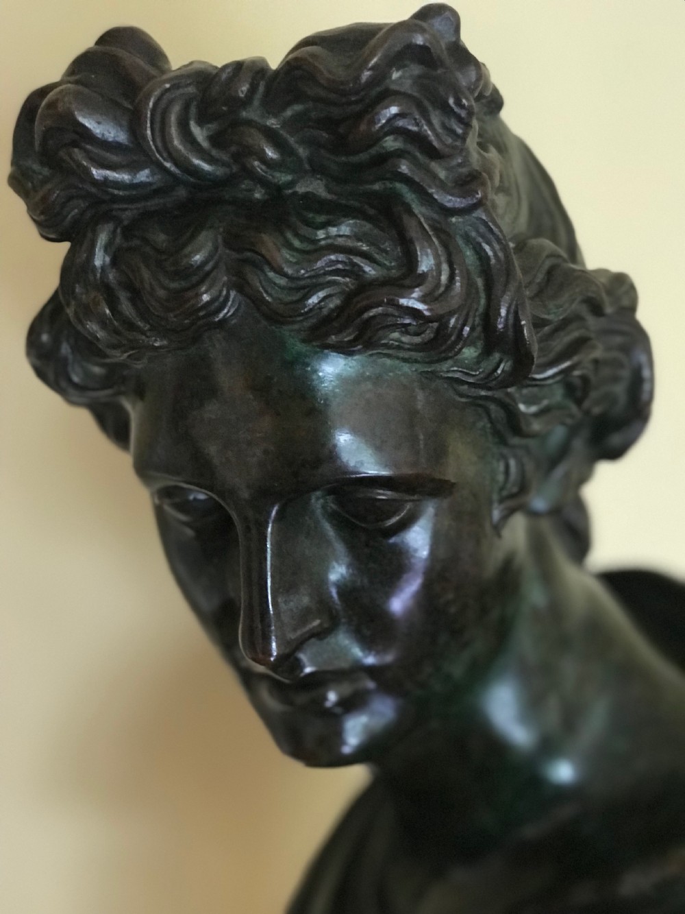 Bronze bust of Apollo View III