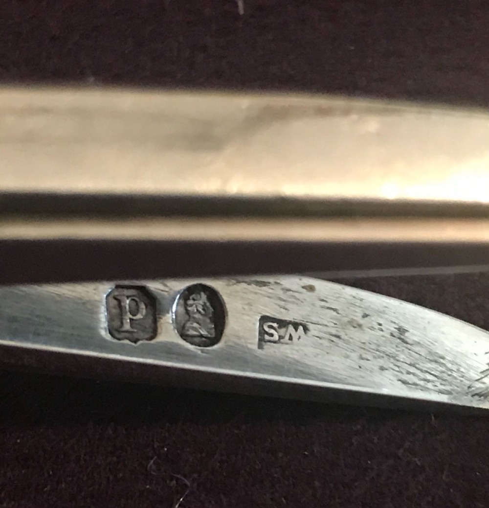 A pair of silver grape scissors featuring handles relief-moulded with grape clusters and vine leaves leading to round finger loops. View V