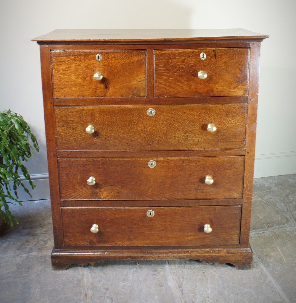 Georgian Oak Chest of Drawers. View XI
