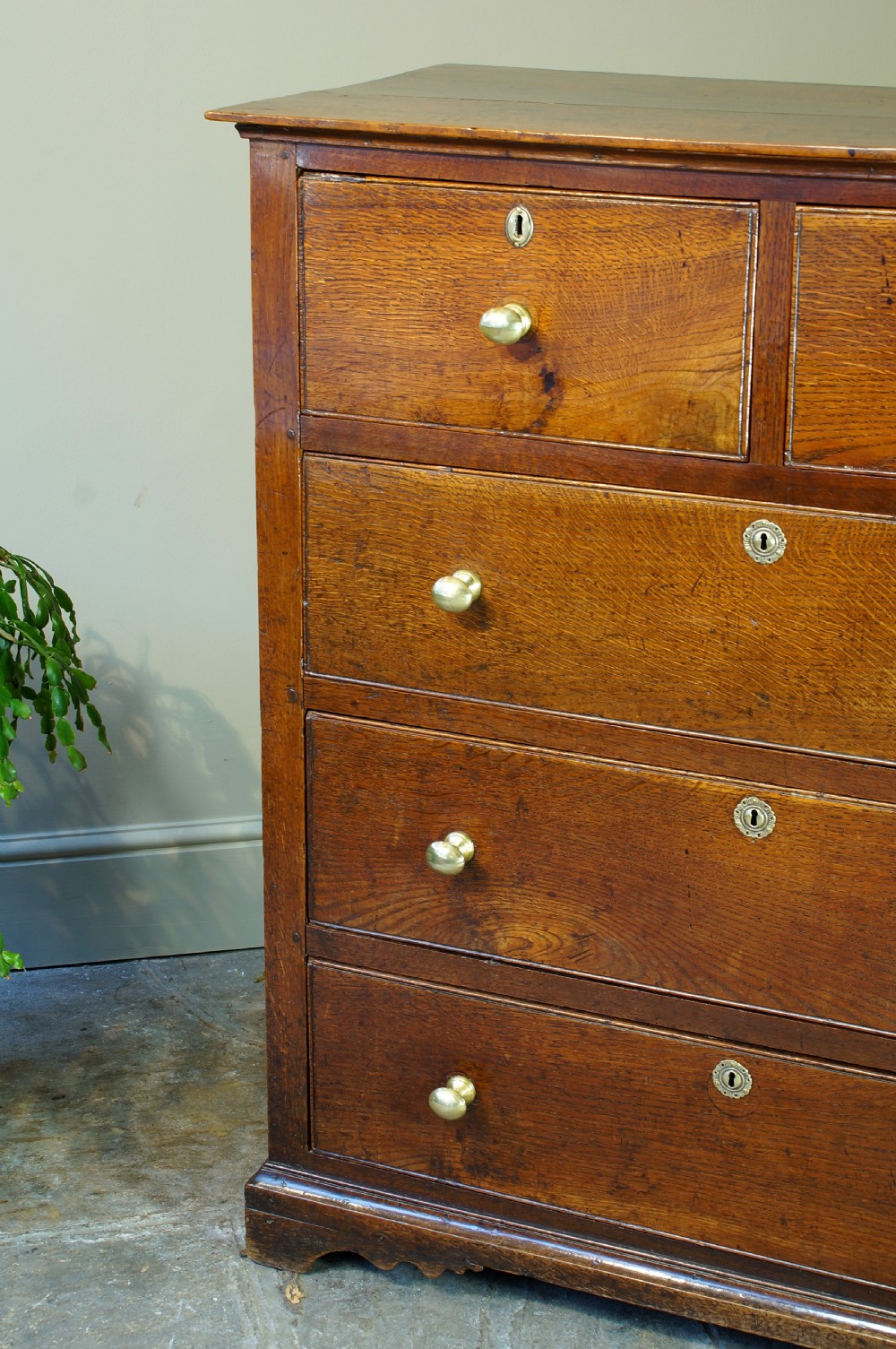 Georgian Oak Chest of Drawers. View IX