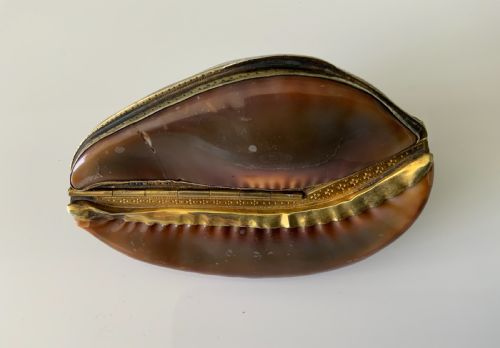 fig 1. Rare full cowrie French silver snuff box