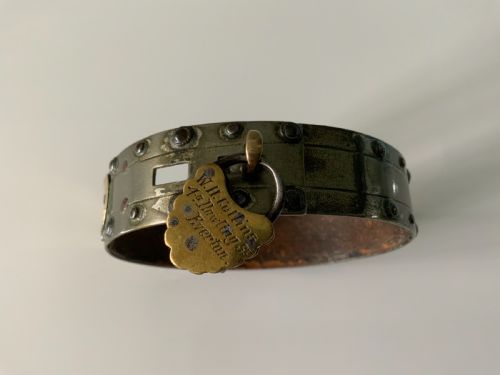 Georgian Steel Dog Collar