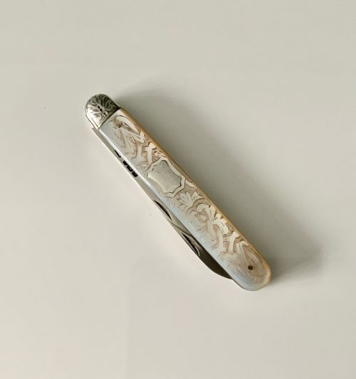 Super Silver & Mop Fruit Knife & Nutpick