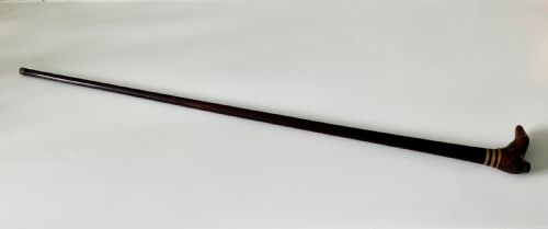 Rare 19th Century Ladies Stick with Shoe End