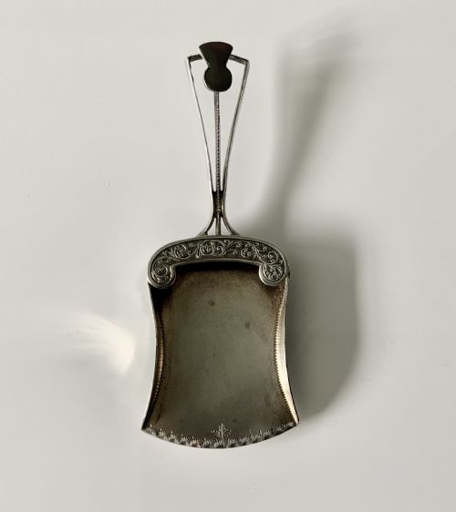 Silver Caddy Spoon, Unusual Shape, Thistle Decoration

