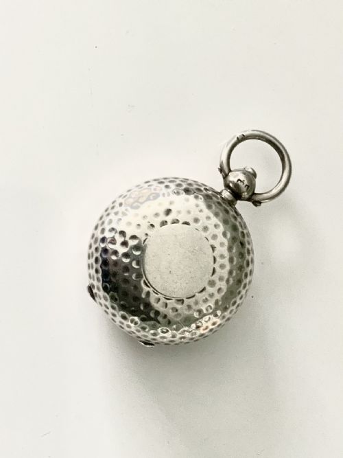 Silver Sovereign Case