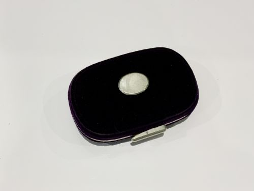 Victorian Velvet Purse
