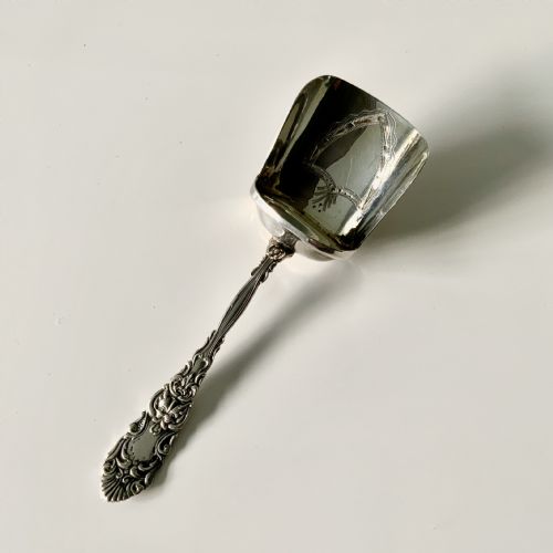 Edwardian Silver Caddy Spoon