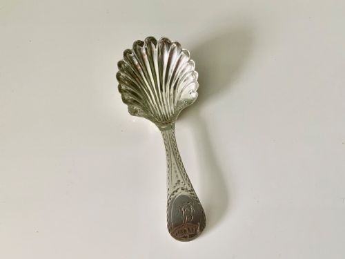 Newcastle Silver Caddy Spoon