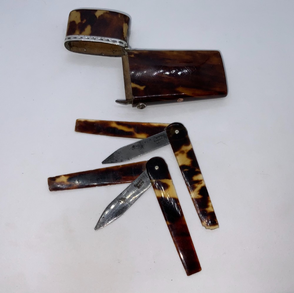 Georgian tortoiseshell surgeons etui View II