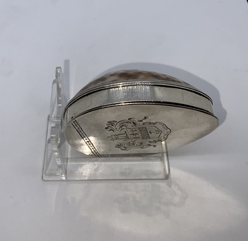 Georgian Cowrie Snuff Box View III