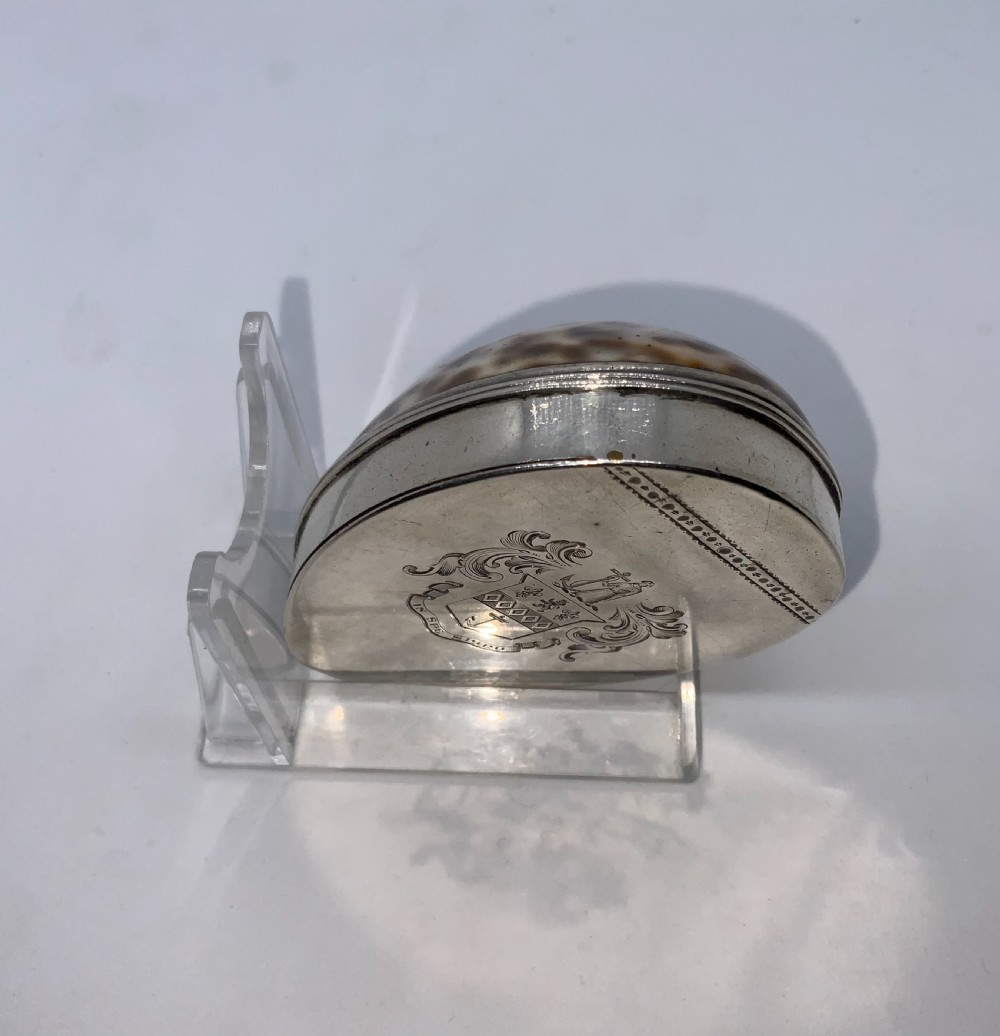 Georgian Cowrie Snuff Box View IV