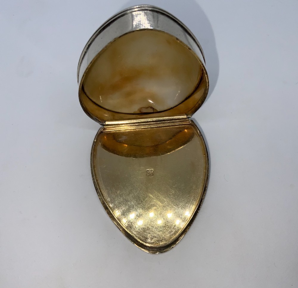 Georgian Cowrie Snuff Box View VI