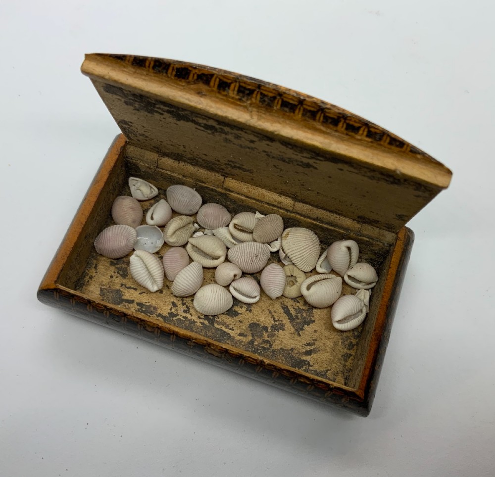 Mauchline Snuff Box View VI
