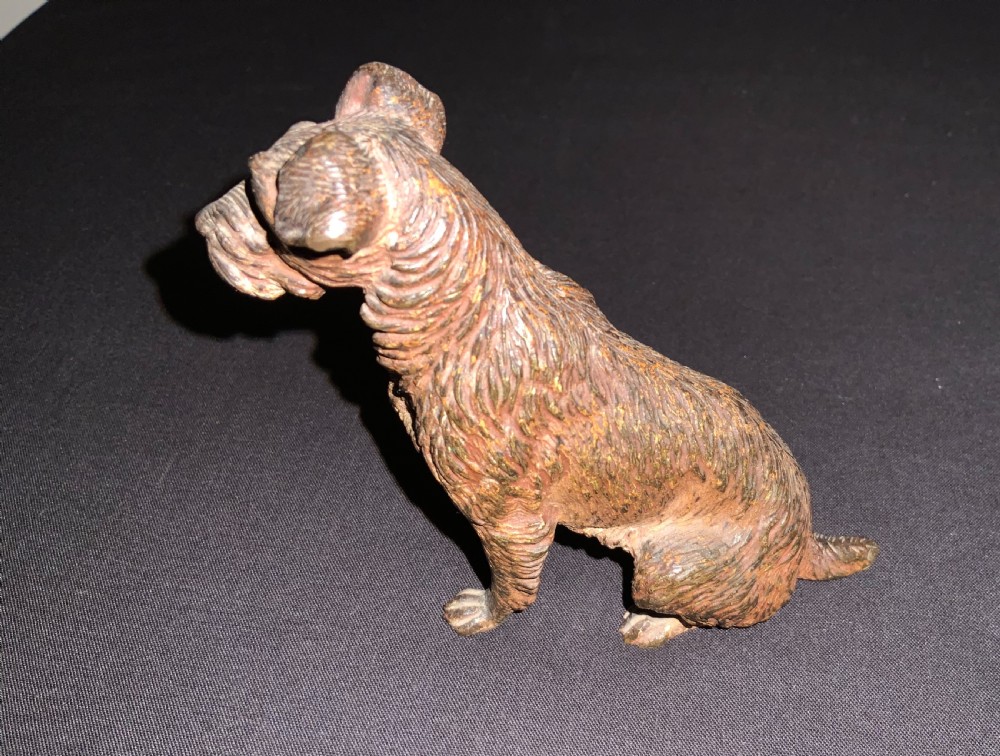 Cold Painted Bronze Dog View II