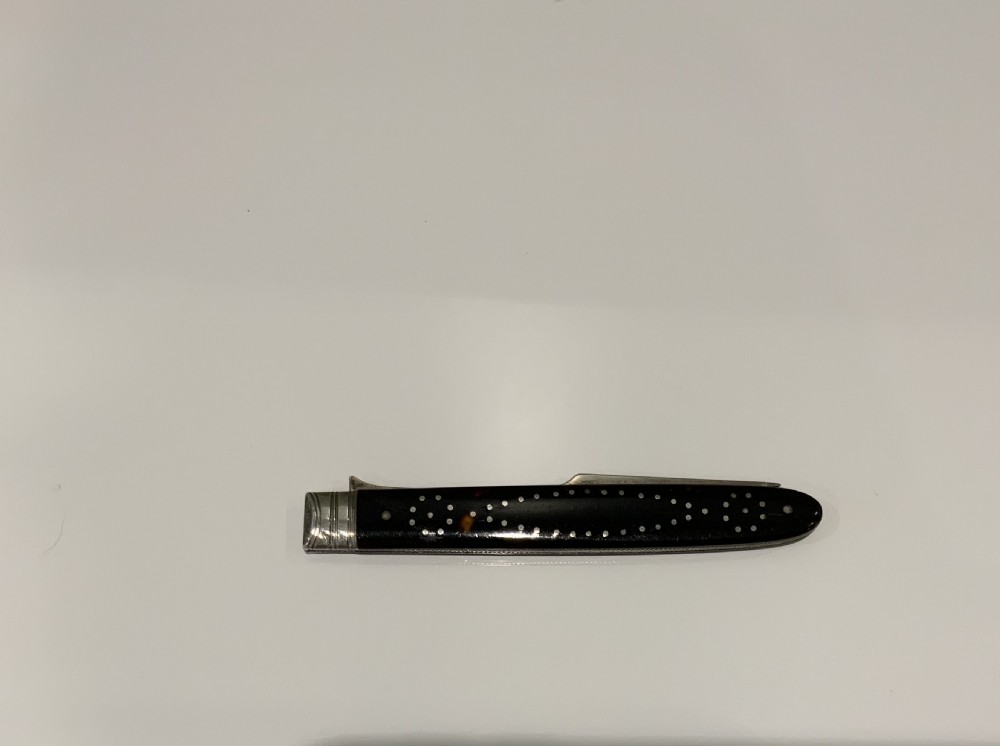 Georgian tortoiseshell silver folding fruit fork View III