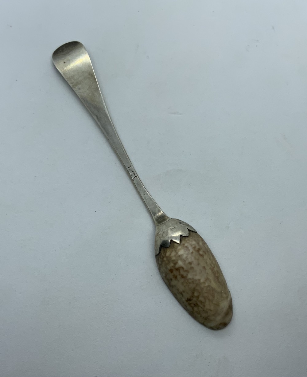 Rare early 18th century silver and cowrie teaspoon