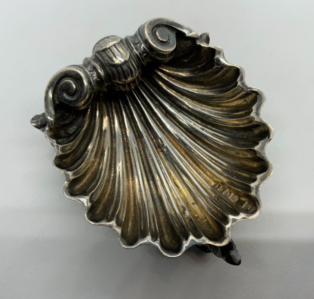 Silver shell shaped salt