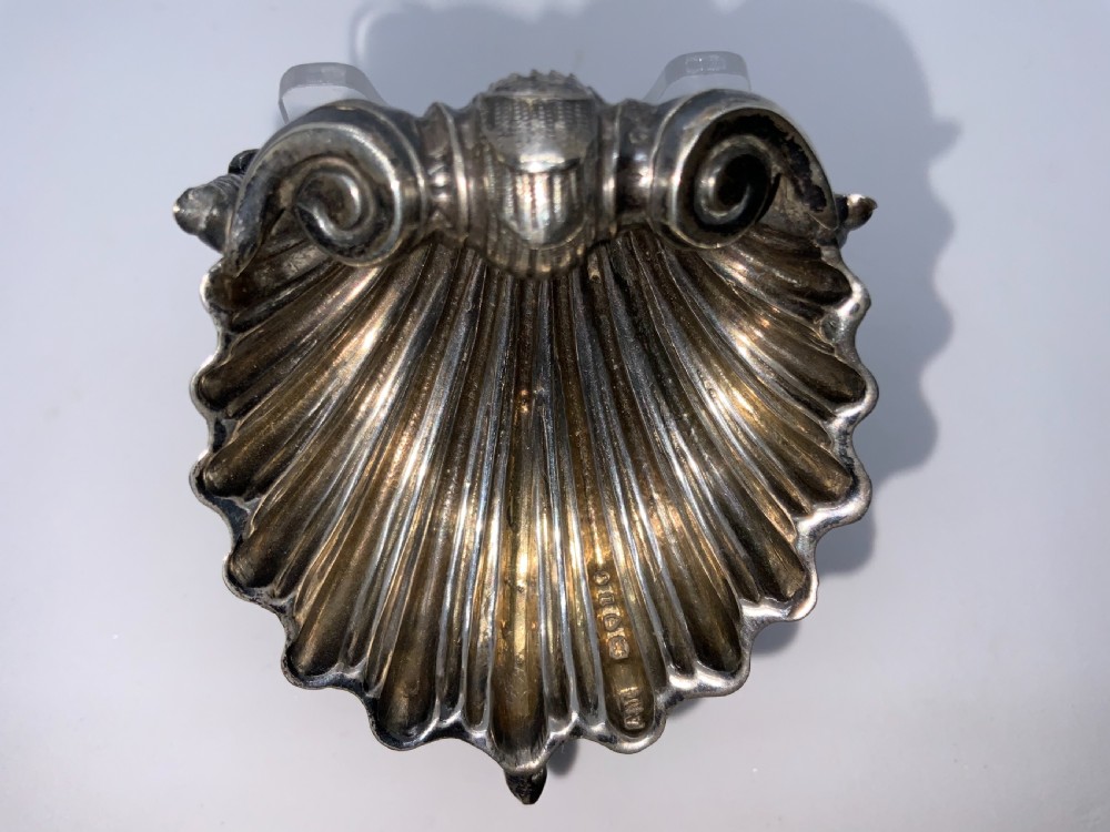 Silver shell shaped salt View IV