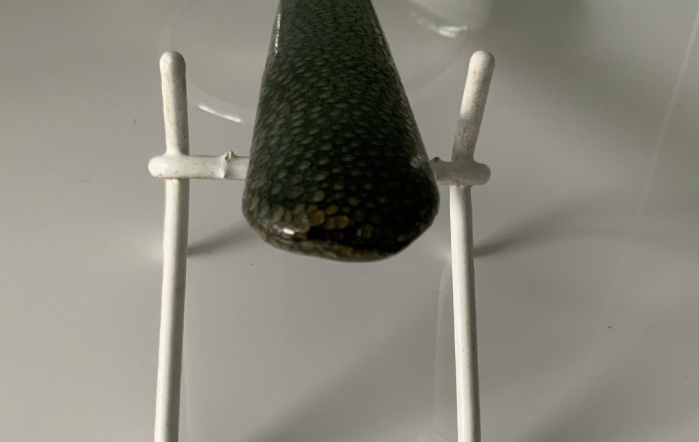 Large silver shagreen handle magnifying glass View V