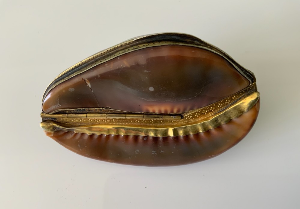 Rare full cowrie French silver snuff box View II