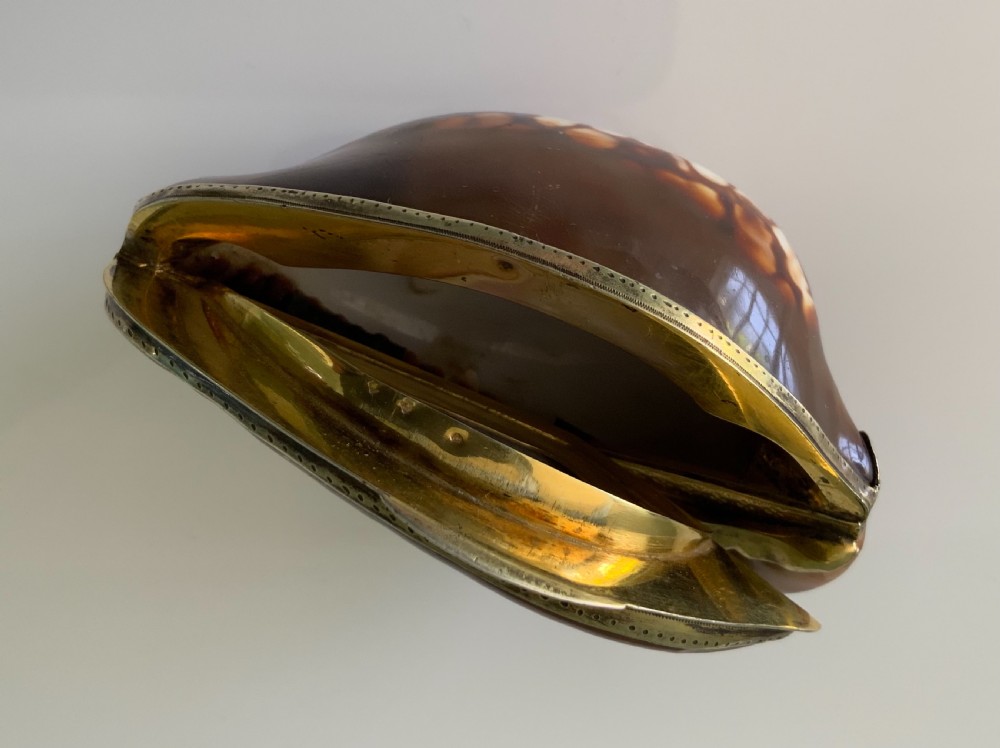 Rare full cowrie French silver snuff box View III