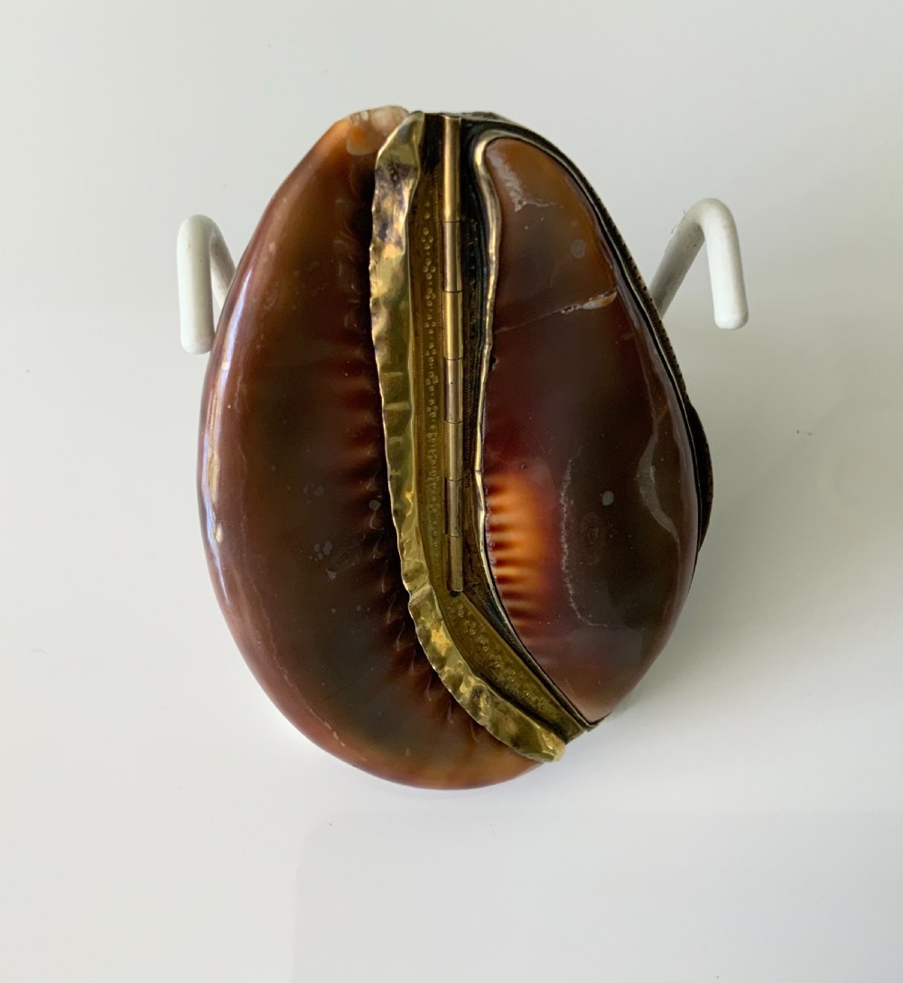 Rare full cowrie French silver snuff box View IV