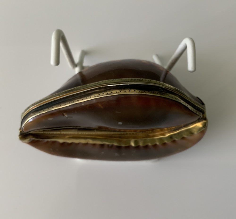 Rare full cowrie French silver snuff box View V