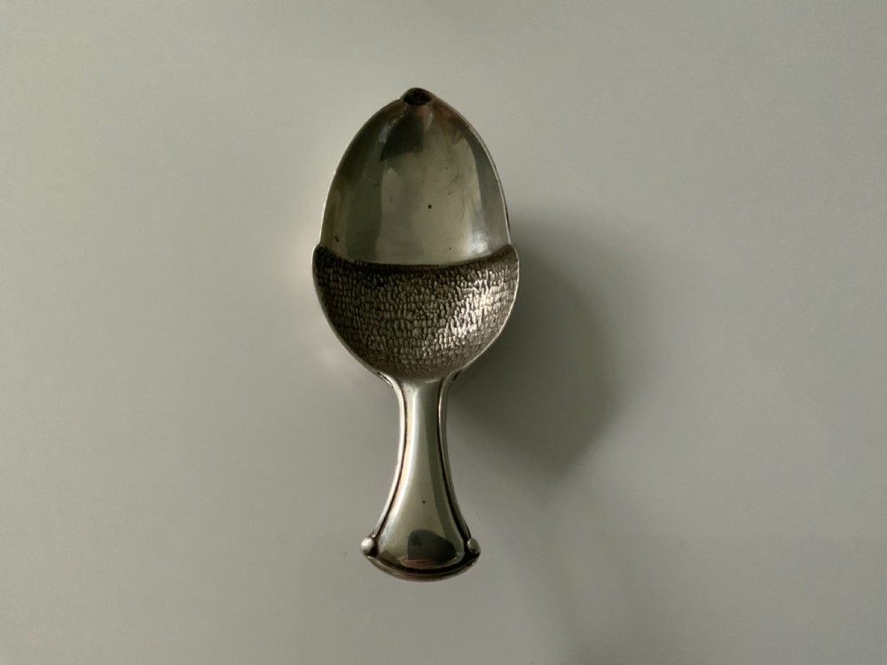 Silver acorn caddy spoon View III