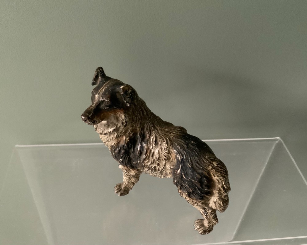 Cold painted bronze Collie View II