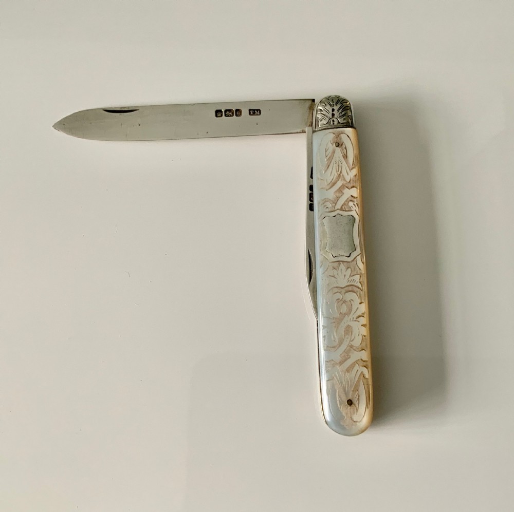 Super silver & MOP fruit knife & nutpick View III