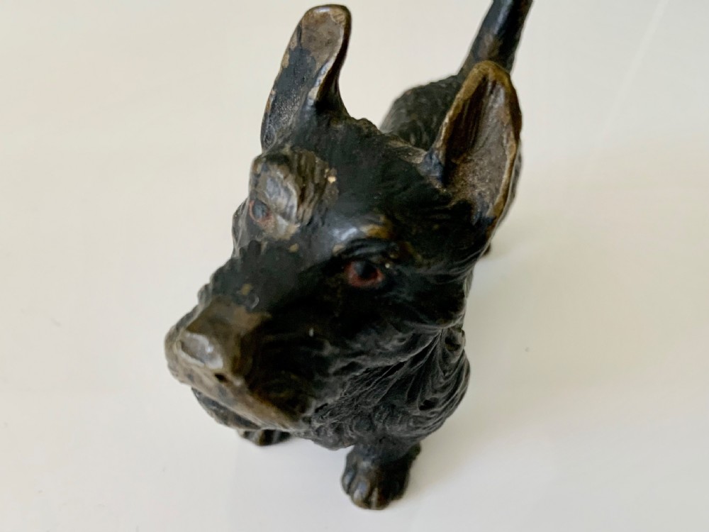 Cold Painted bronze Scottie Dog View II