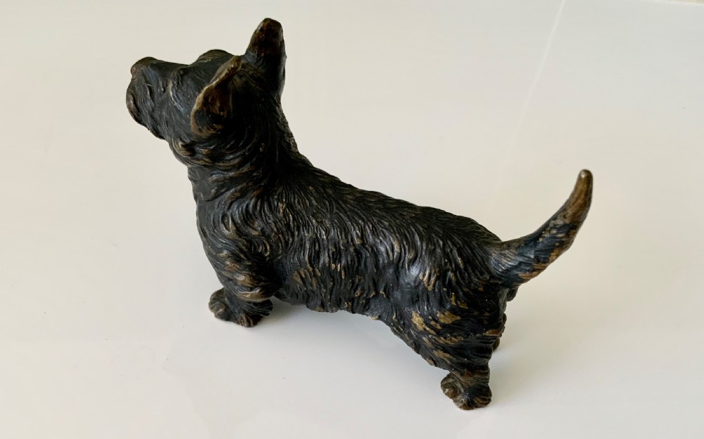 Cold Painted bronze Scottie Dog View III