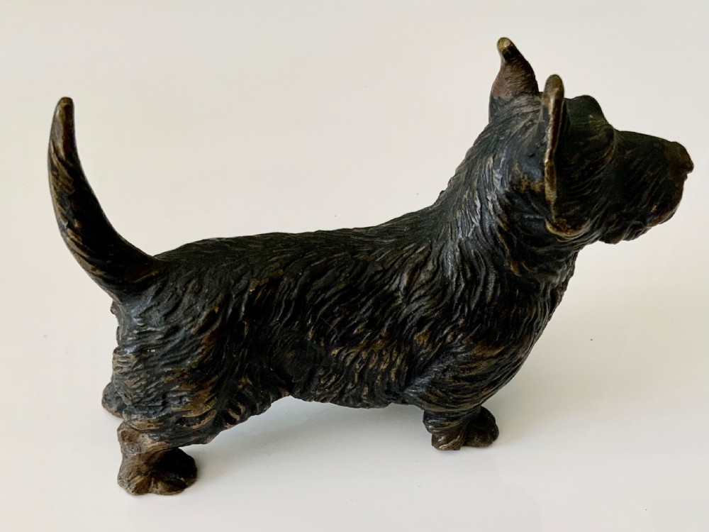 Cold Painted bronze Scottie Dog View IV