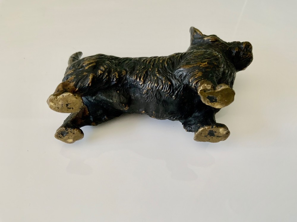 Cold Painted bronze Scottie Dog View V
