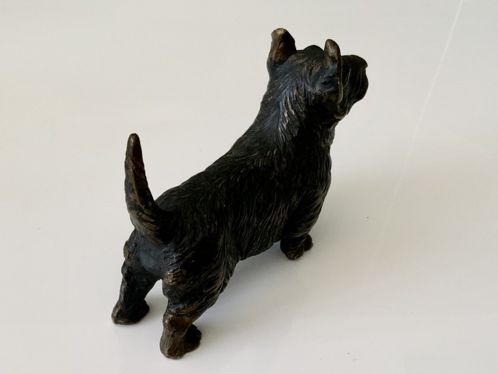 Cold Painted bronze Scottie Dog View VI