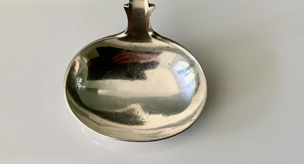 Scottish provincial toddy ladle View IV