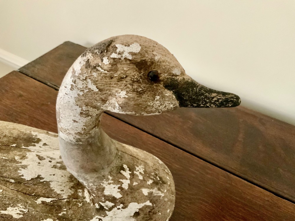 Large Decoy - late 19th century View III