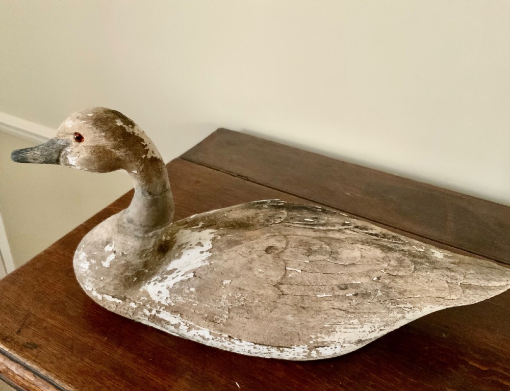 Large Decoy - late 19th century View V