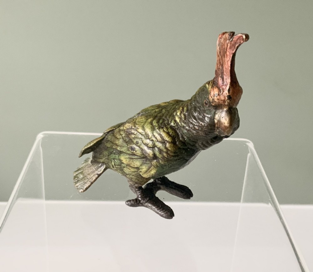 Cold painted bronze Cockatoo