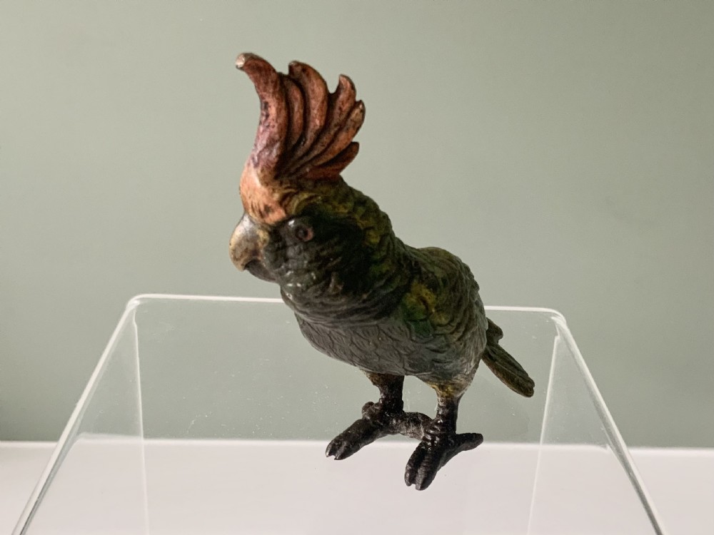 Cold painted bronze Cockatoo View II