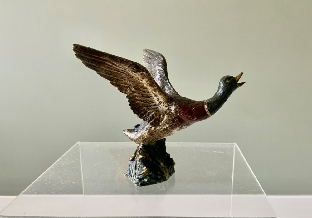 Cold painted bronze duck View IV