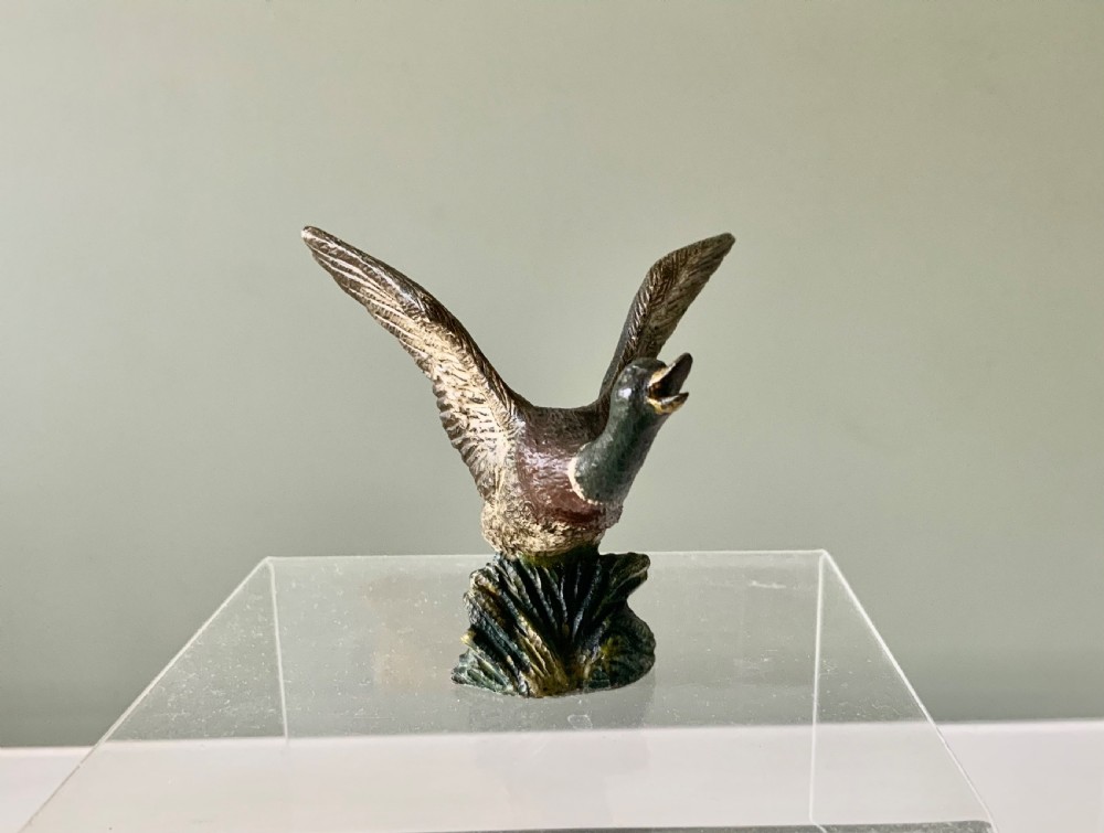 Cold painted bronze duck View V