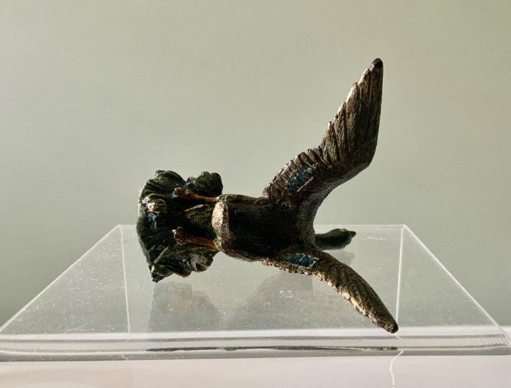 Cold painted bronze duck View VI