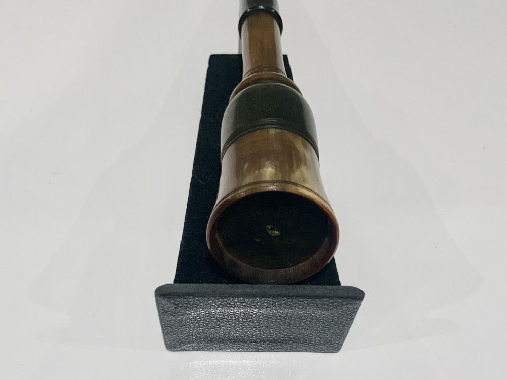 Georgian Horn Penner View II