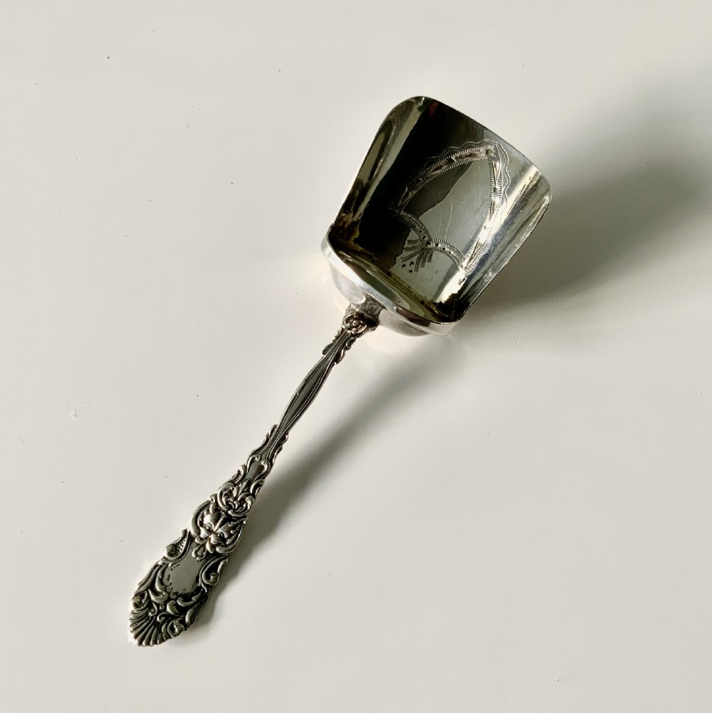 Edwardian silver caddy spoon